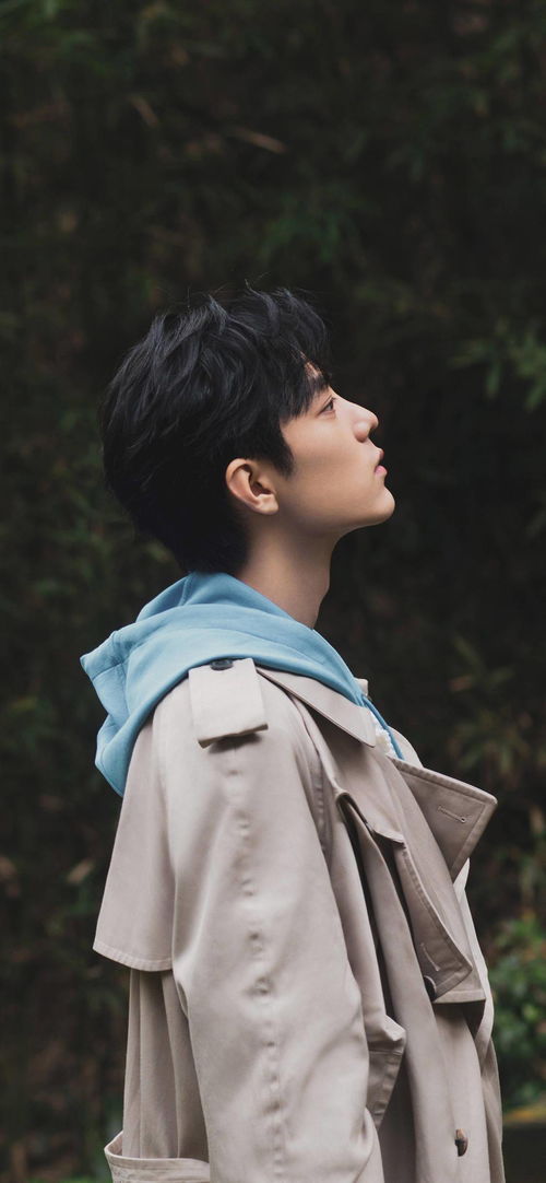 精选壁纸系列011 坚果